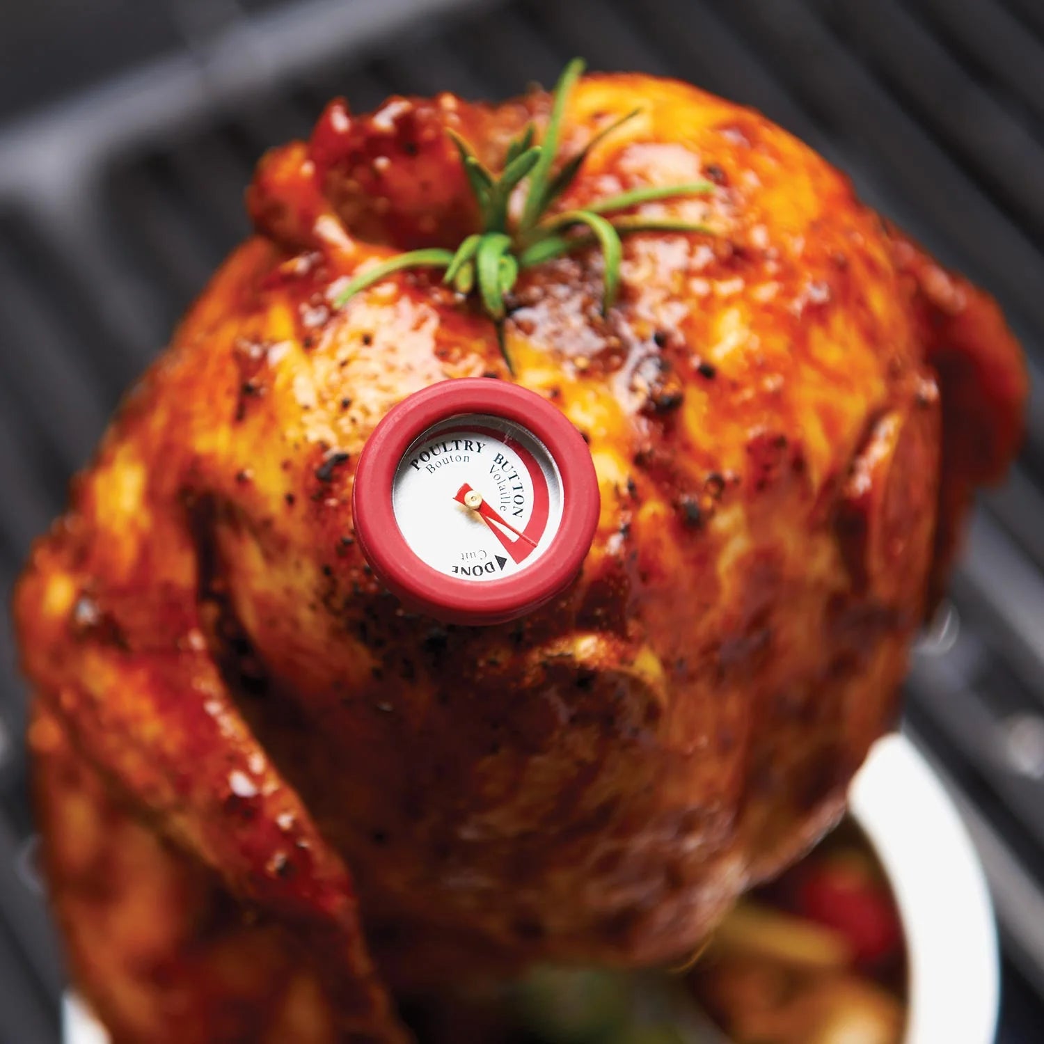 مجموعة ترمومترات صغيرة من برويل كينج