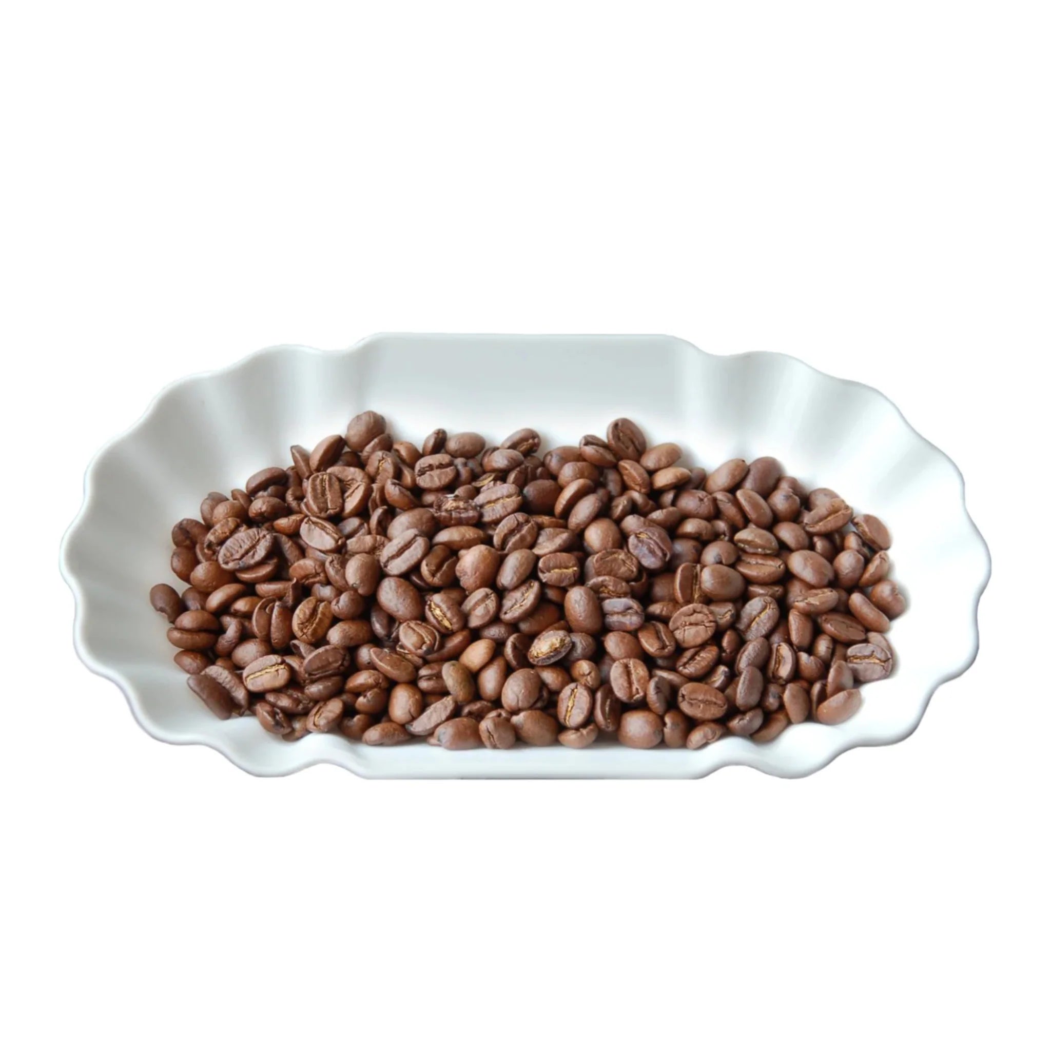 JoeFrex Coffee Cupping Tray (Set of 12)